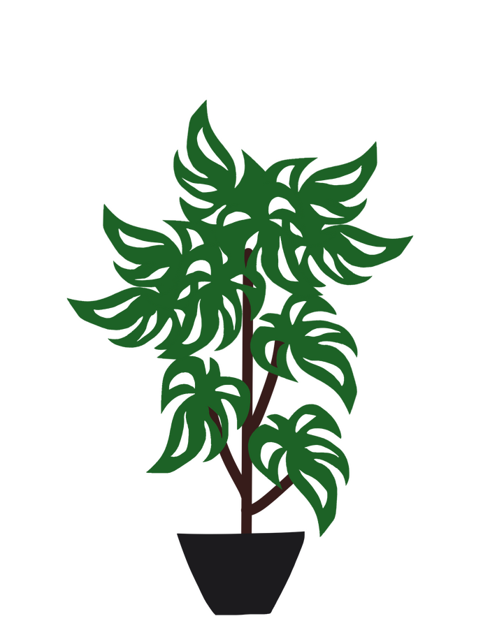 Vintage potted plant.